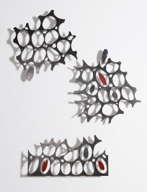Carolina Sardi, Skin Cells