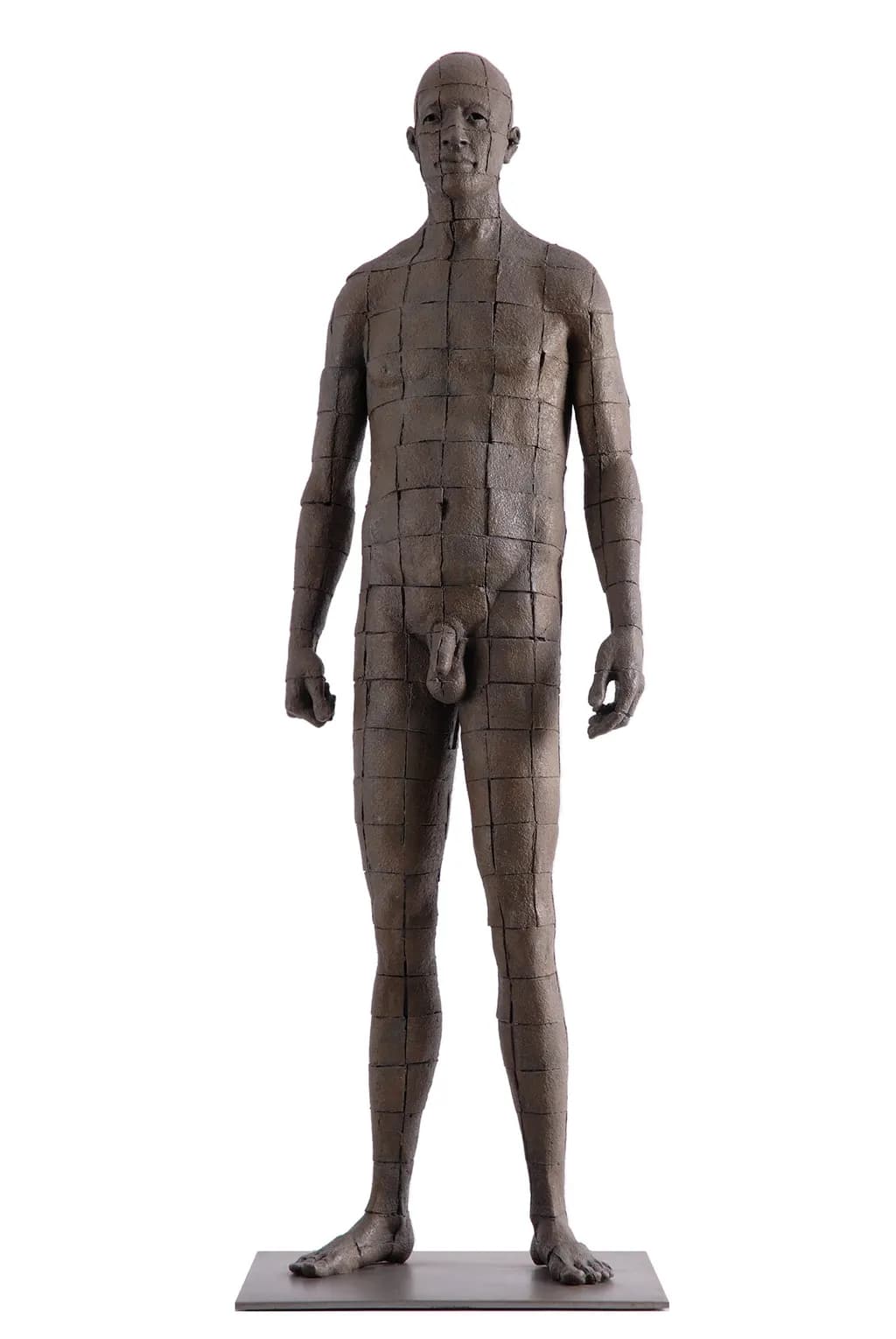 James Mathison, Gridded Character