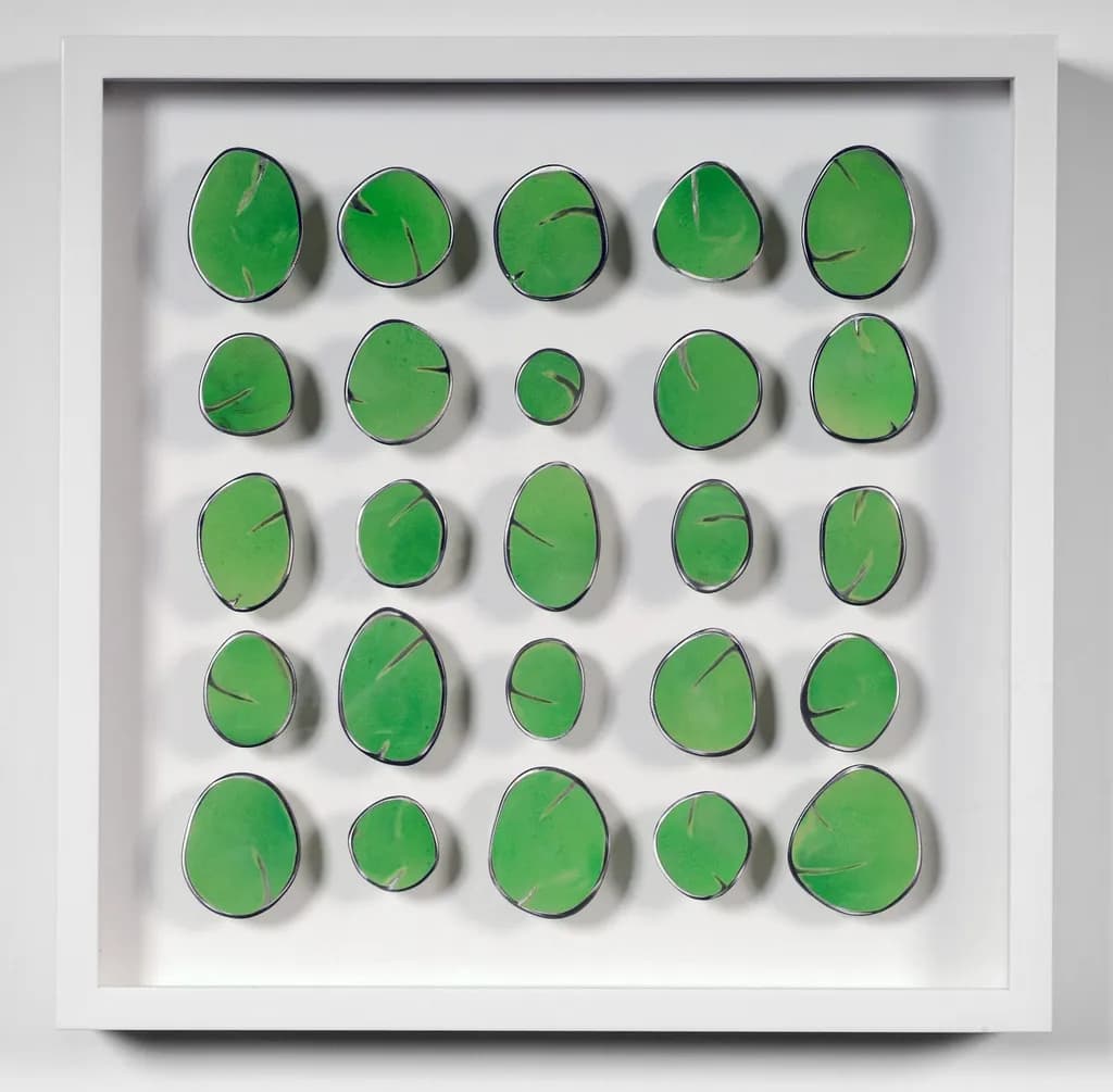 Carolina Sardi, Bright Green in a Box