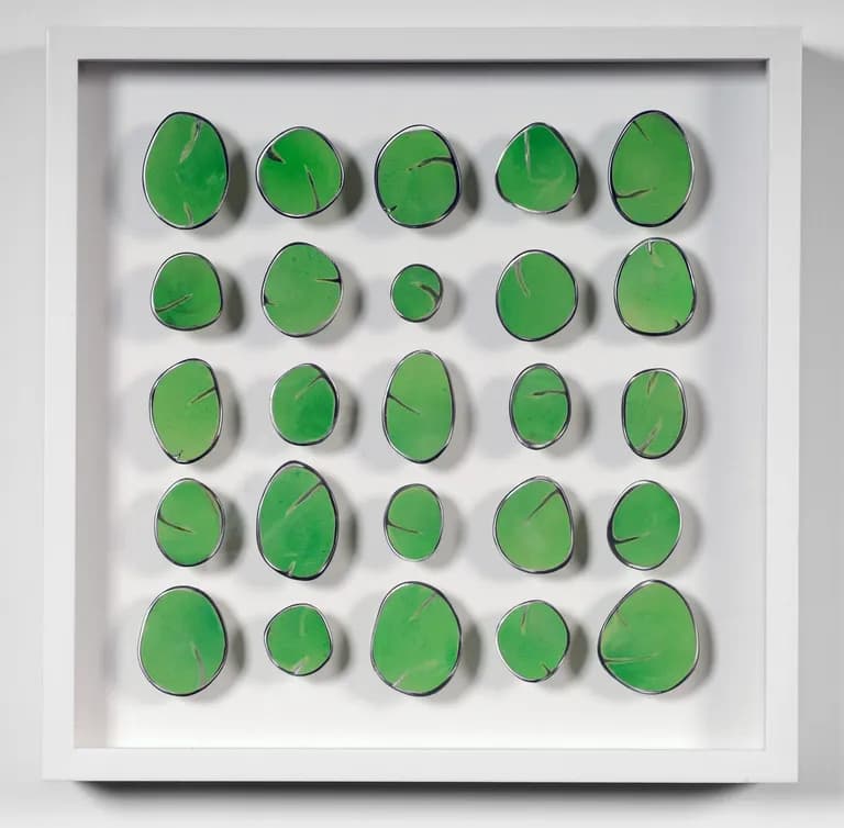 Carolina Sardi, Bright Green in a Box