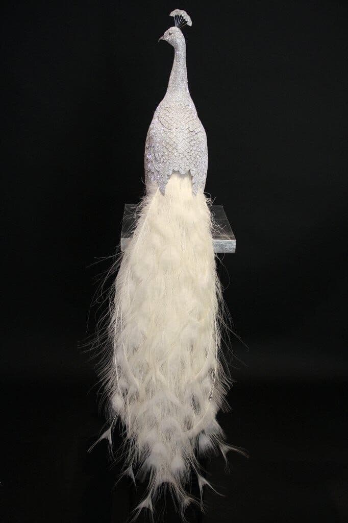 Clarita Brinkerhoff, Peacock Albino