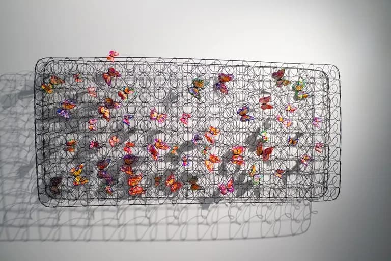 Ancizar Marin, Butterflies Bed